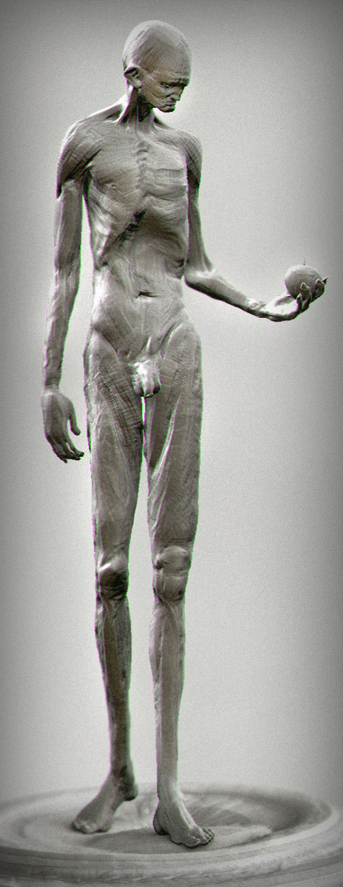 adan shapeA.jpg