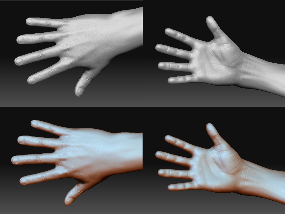 LargeMaleHandD6_02g.jpg