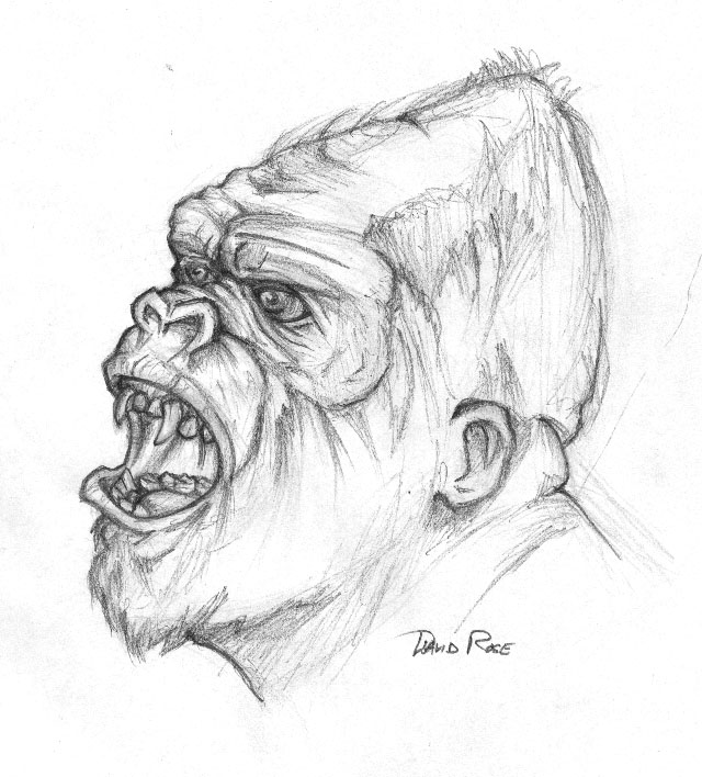 DRose Gorilla Concept.jpg