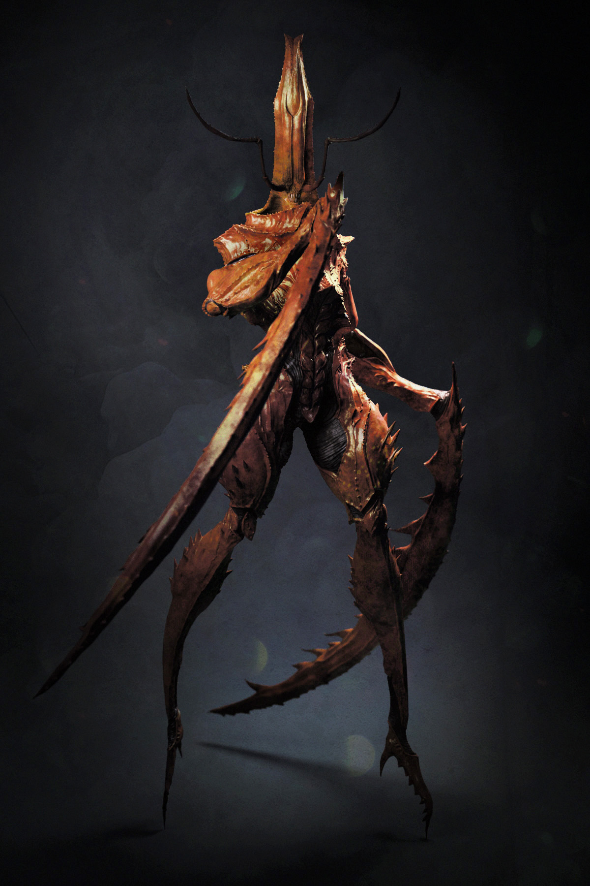 Bug_07.jpg