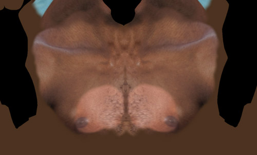 paint1.jpg