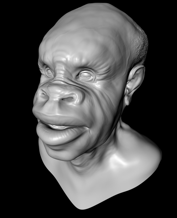 head.jpg