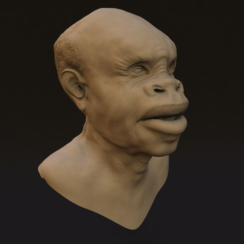 head1_small
