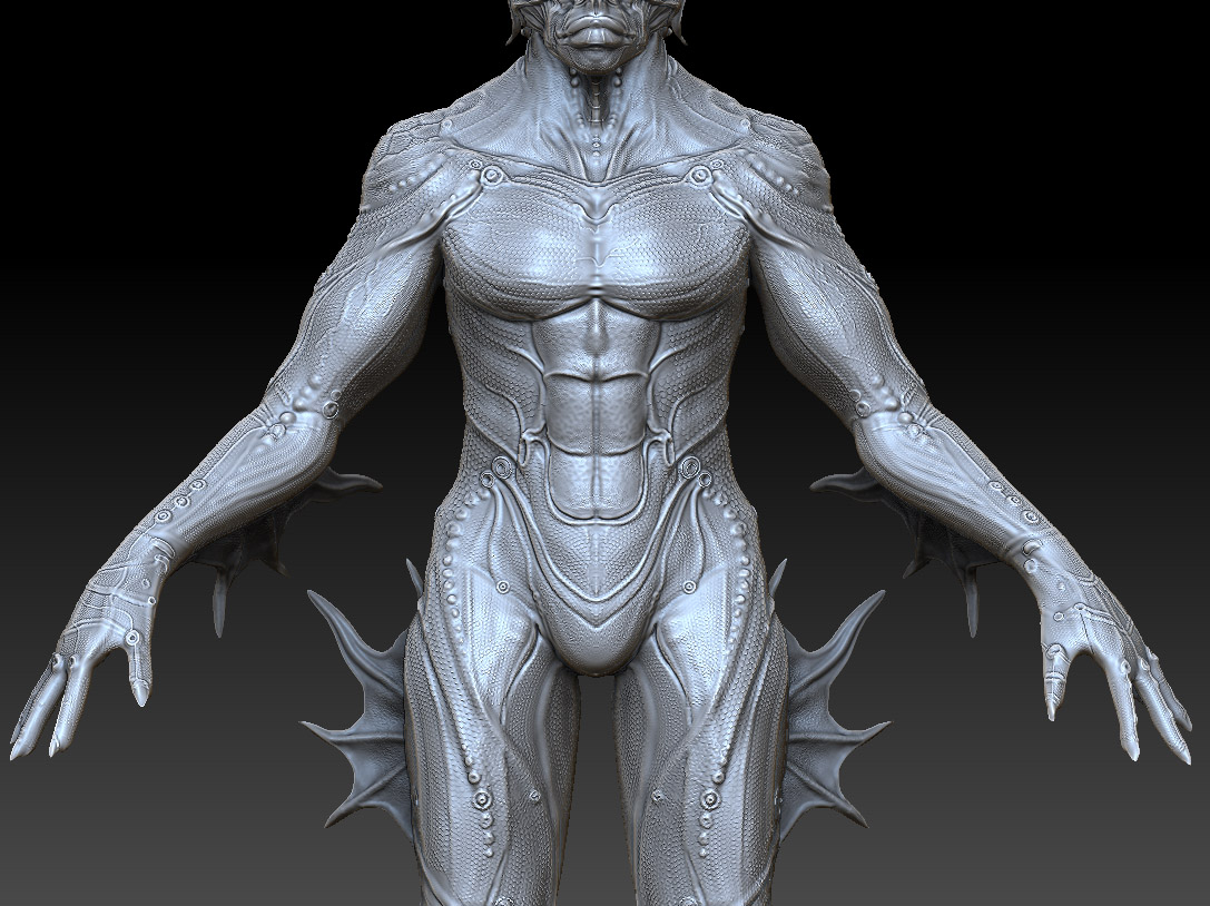 FrontDetail01.jpg