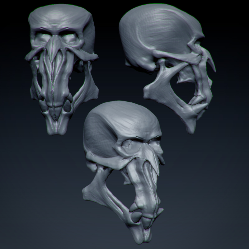 Sketch_Skull.jpg