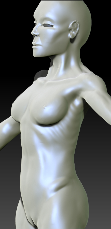 FEMALE ANATOMY retry06.jpg