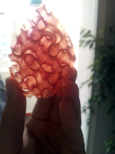 20130413_175220.jpg
