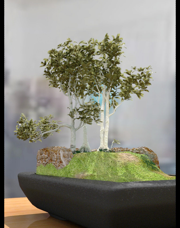 bonsai_04.jpg