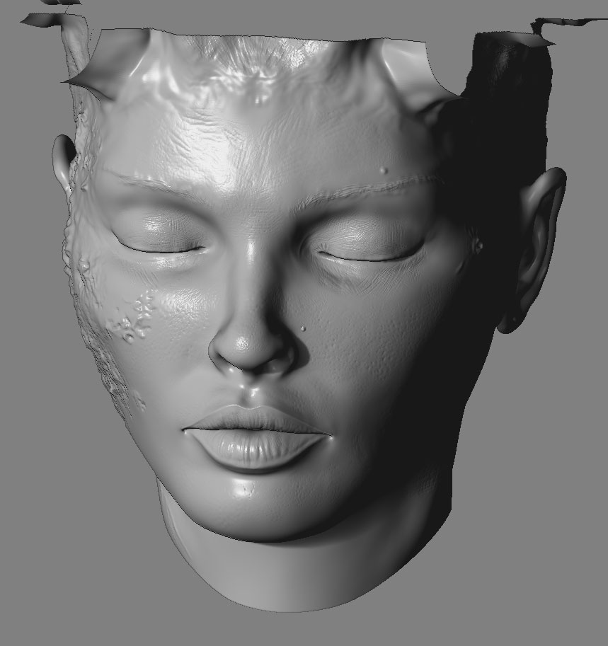 head_v02_1017.jpg