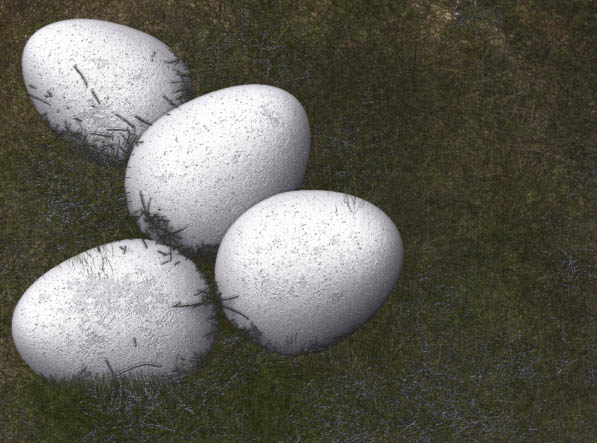 egg01.jpg