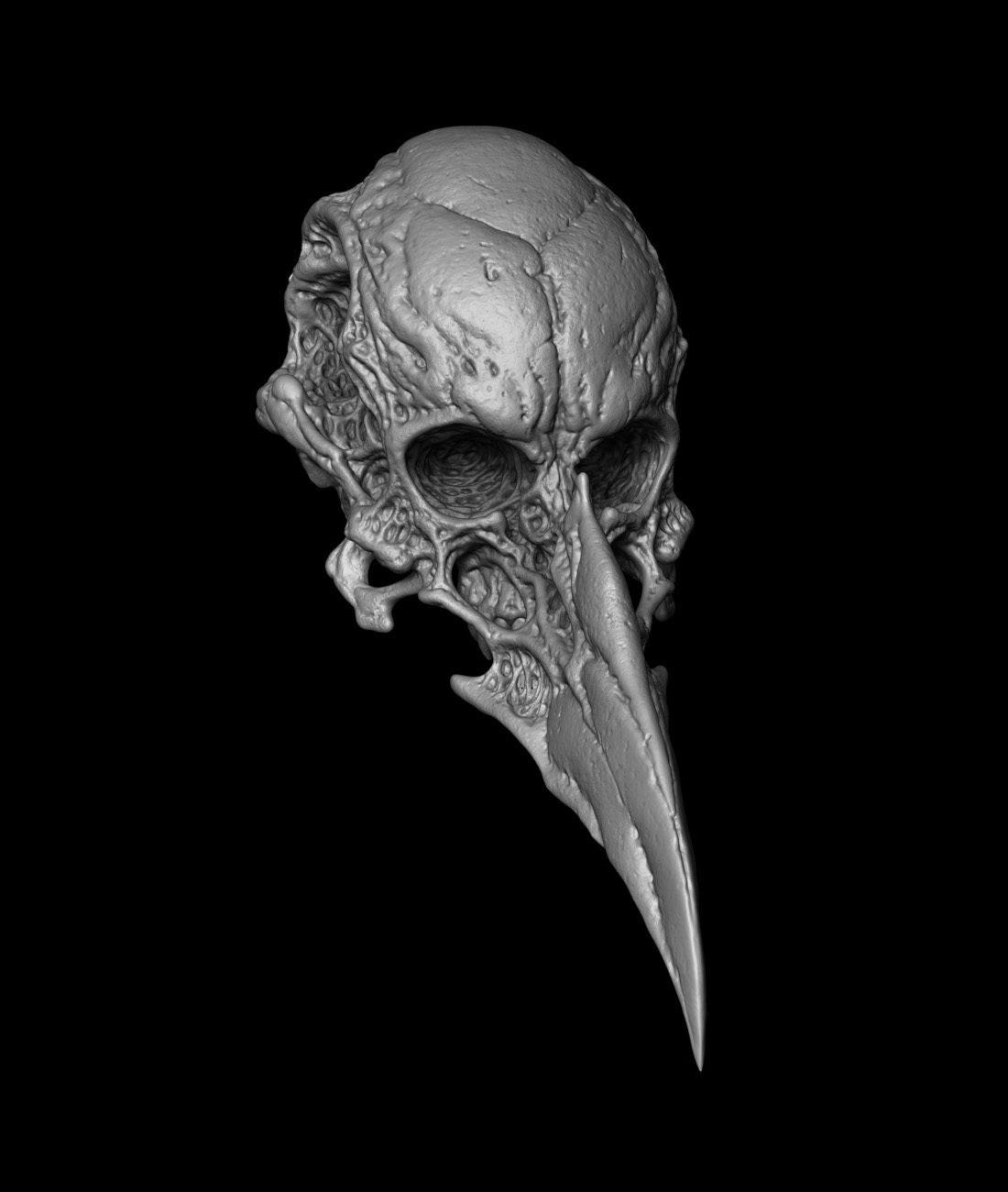 birdskull_a.jpg