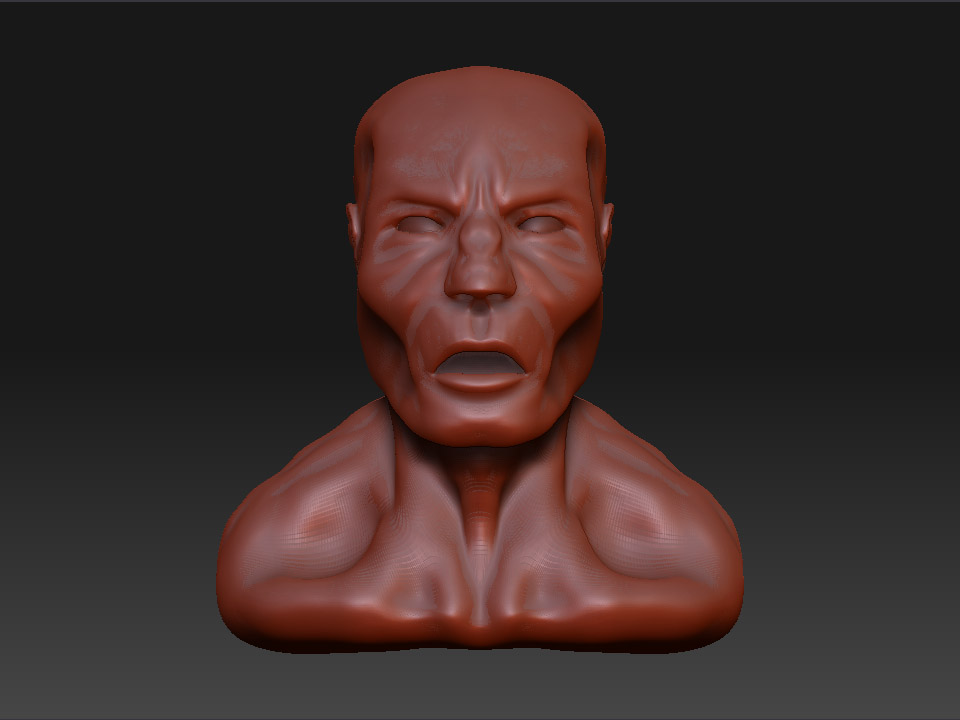 HEAD.jpg