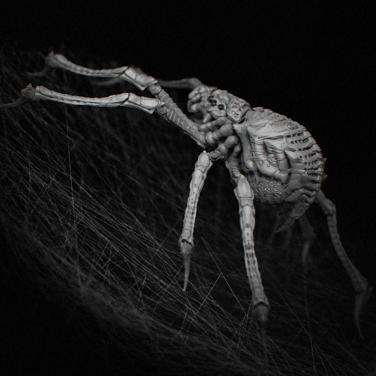 spider_03.jpg