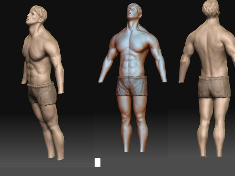 anatomy.jpg