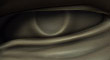 thumb.jpg