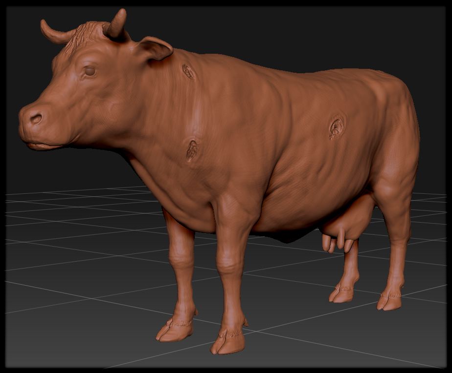 cow35.jpg