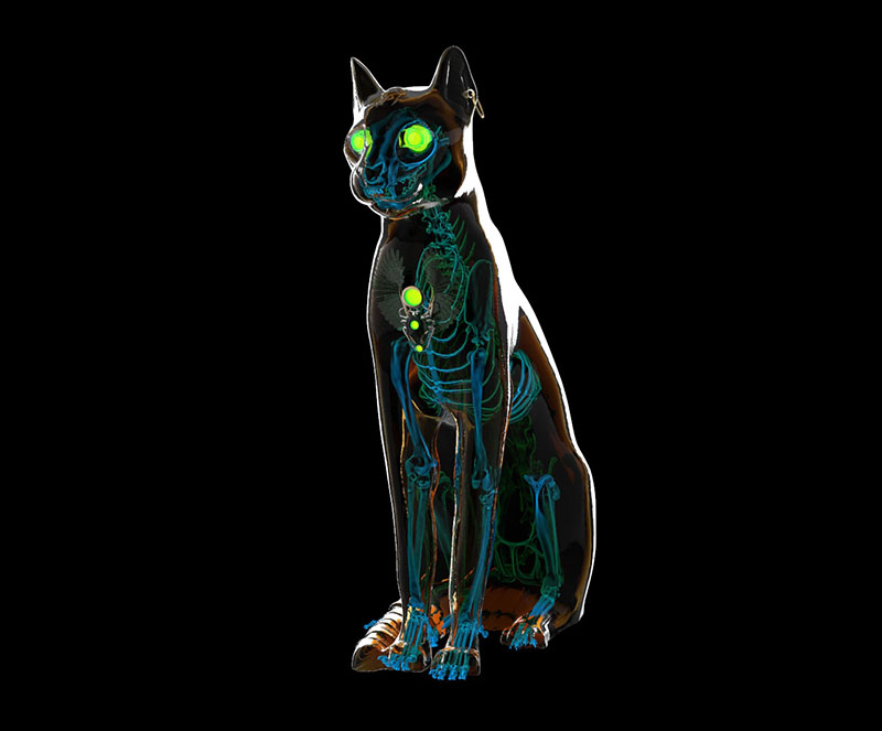 ghostcat.jpg