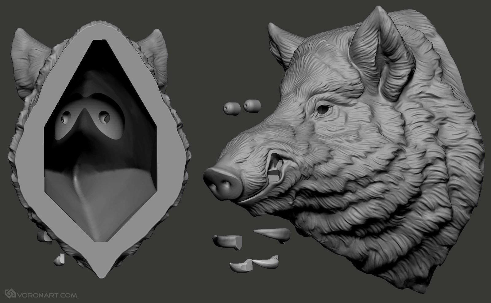 wild-boar-head-digital-sculpture-zbrush-01.jpg