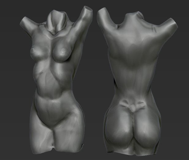 female_torso.jpg