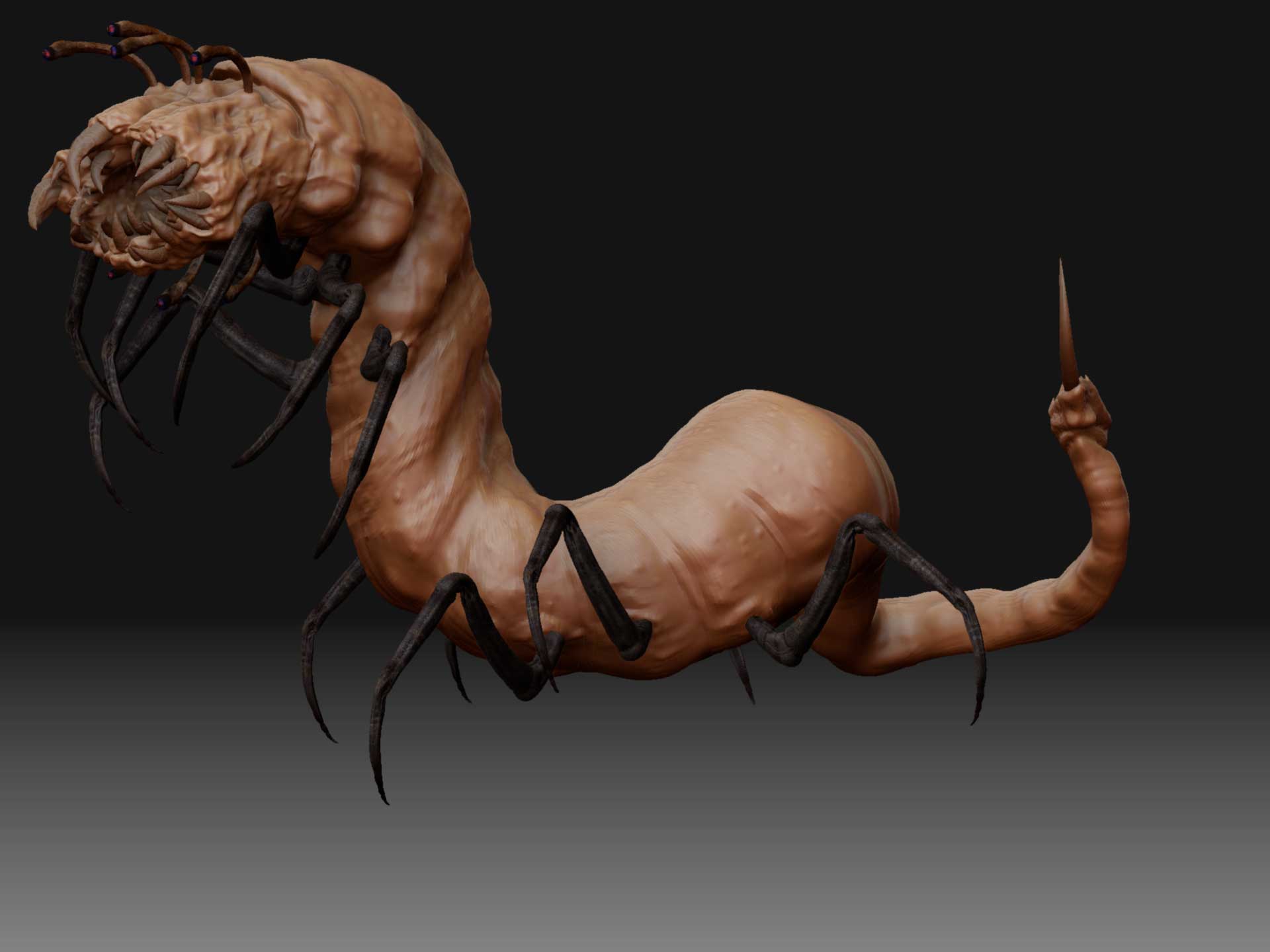 ZBrush-Document2.jpg