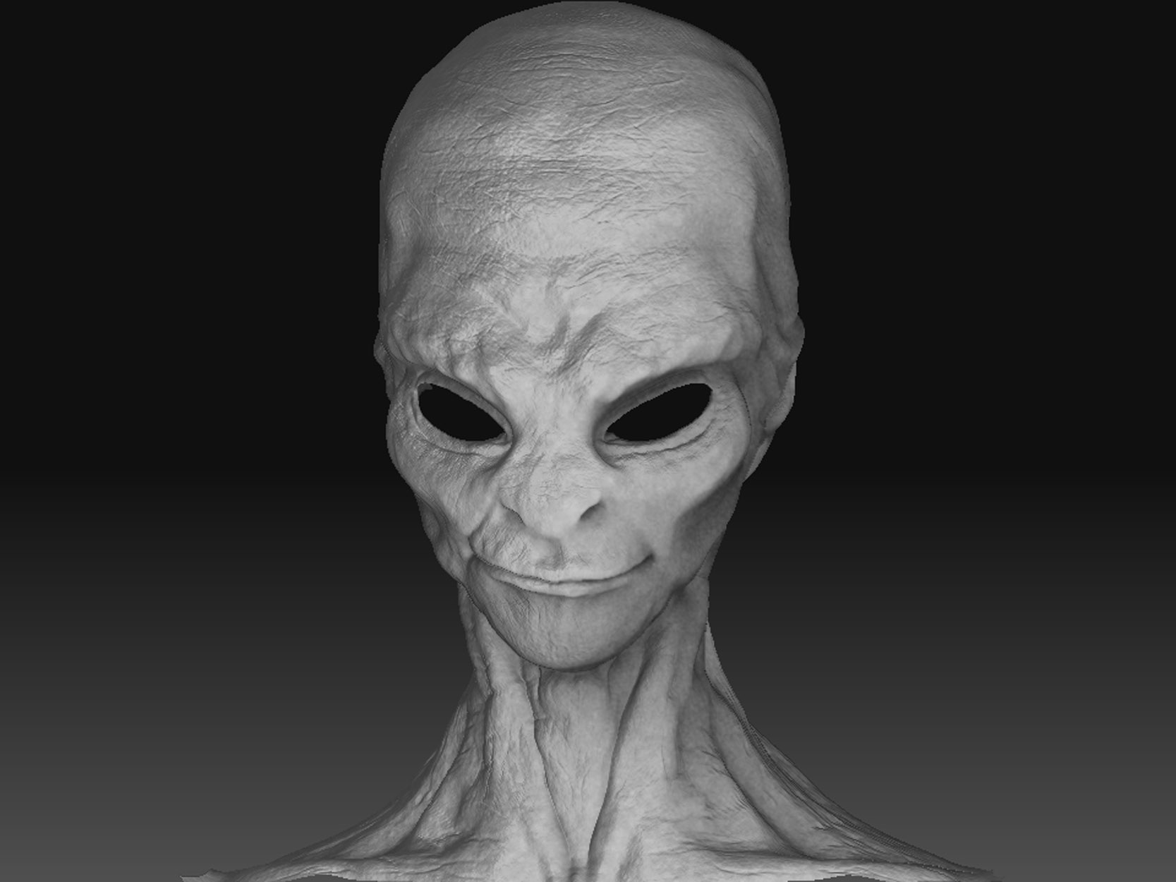 skin.jpg