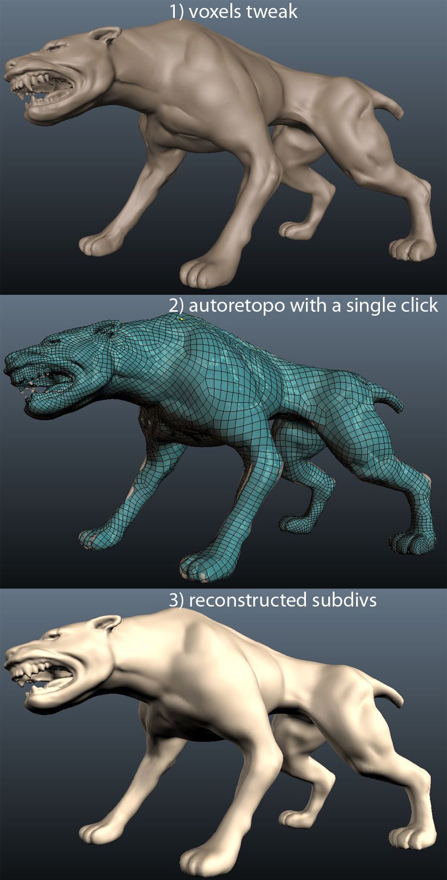 dogMMM
