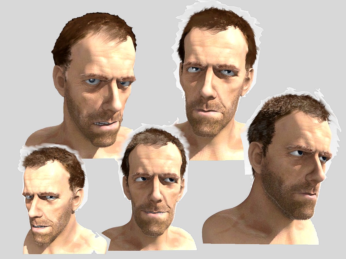 hlh13.jpg