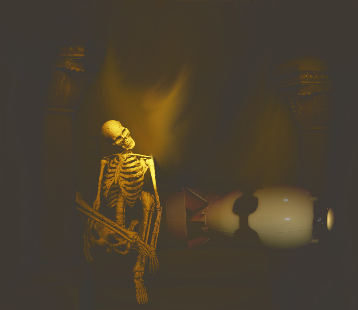 BOXER-IN-REPOSE-25B.jpg