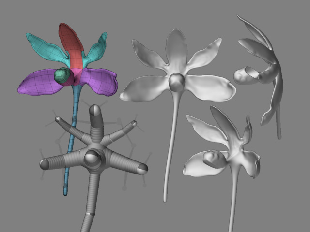 Flower.jpg