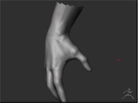 MÃO-WIP-1-THUMB.jpg