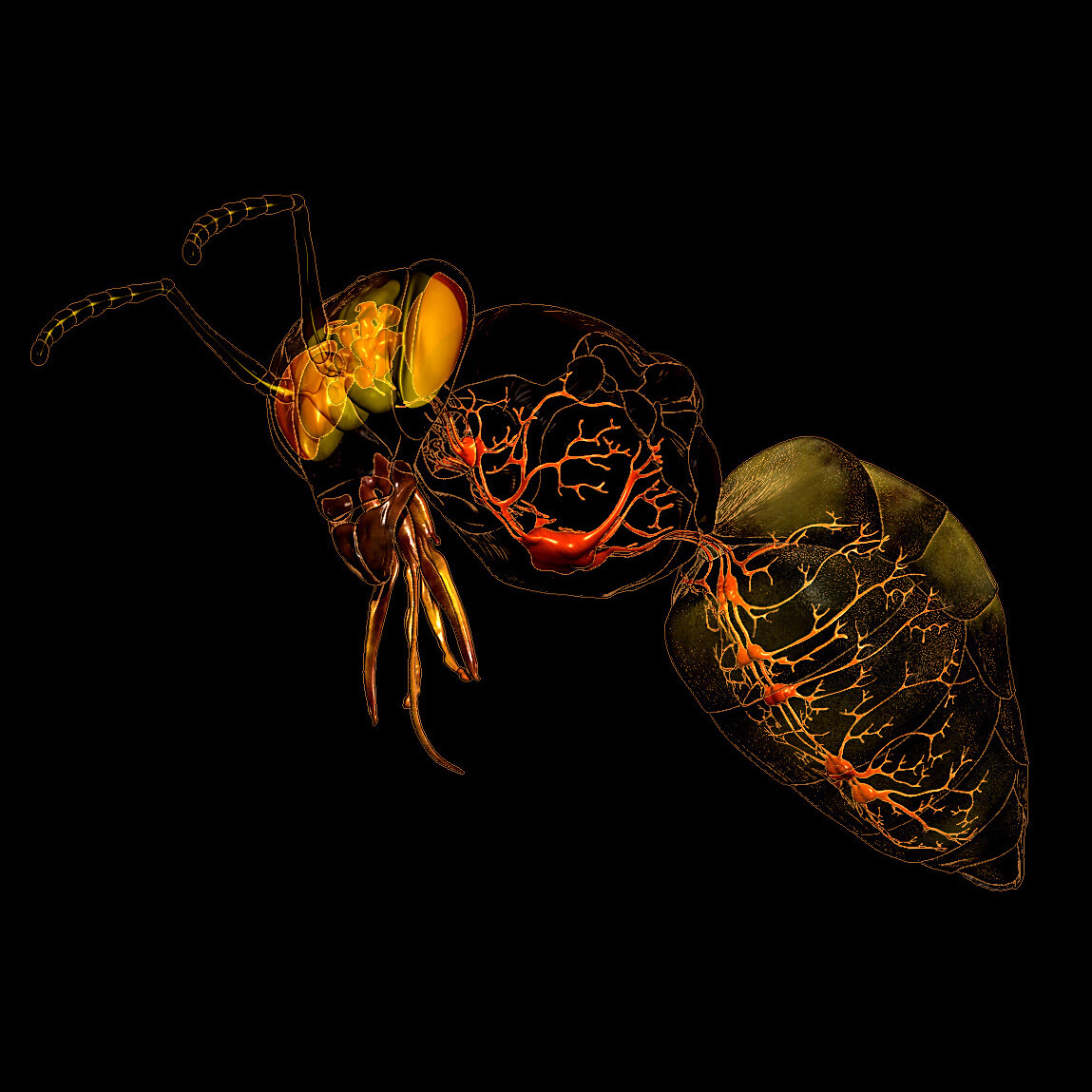 eric-keller-bee-nervous-system-insta-02