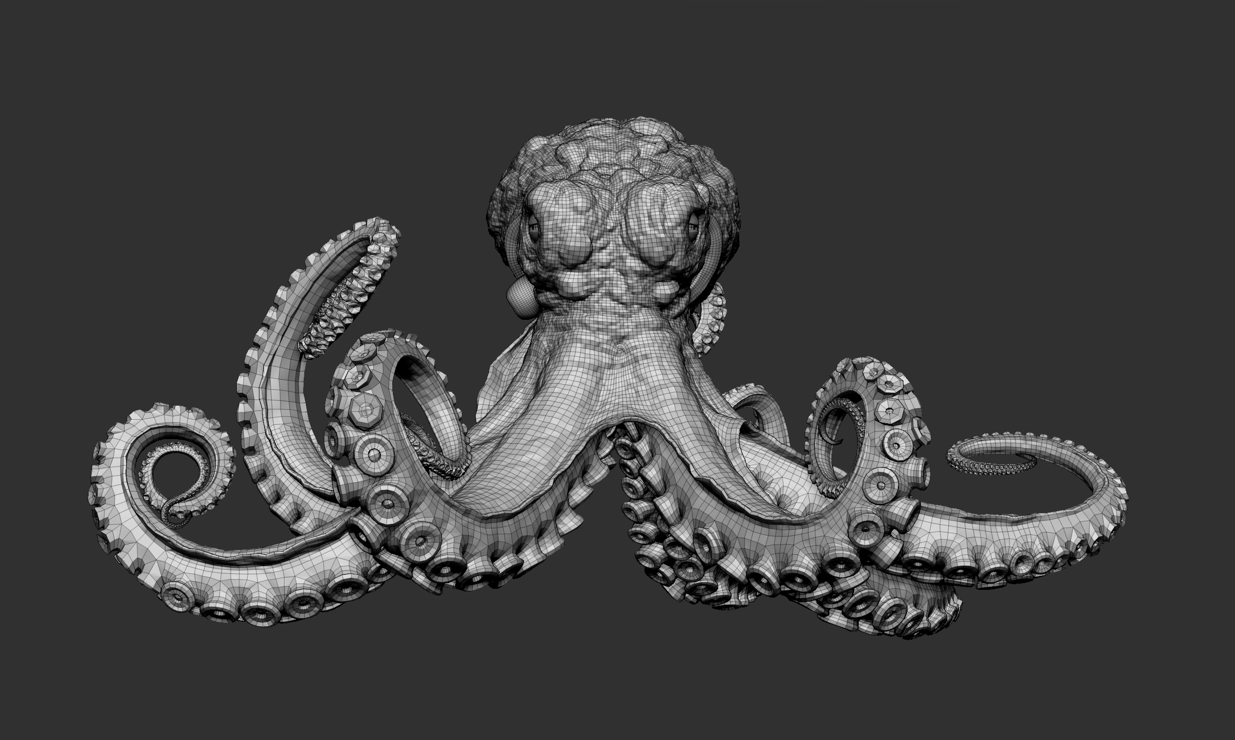 Octopus_model_basemesh_wireframe_ZBrushCentral.jpg