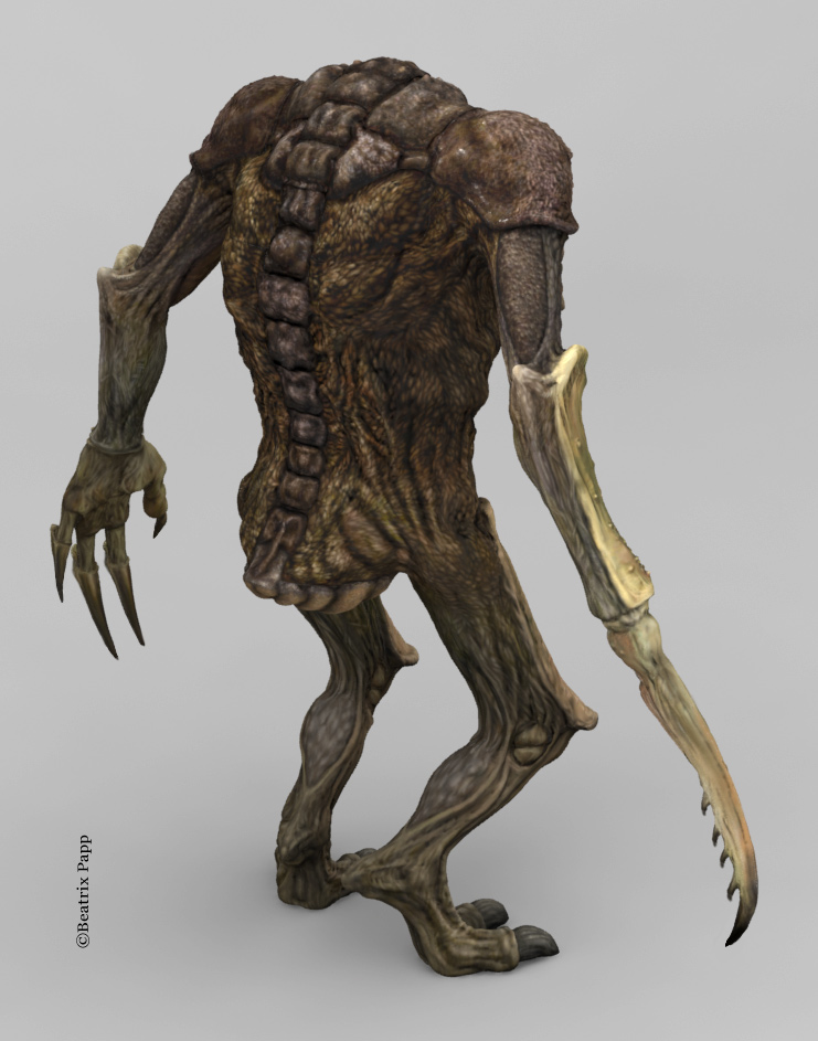 render14_back.jpg