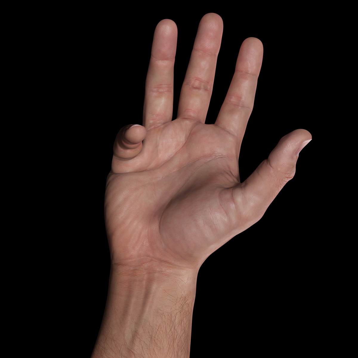 hand1-05.jpg