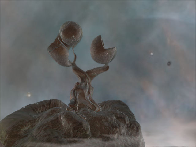 tree1.jpg