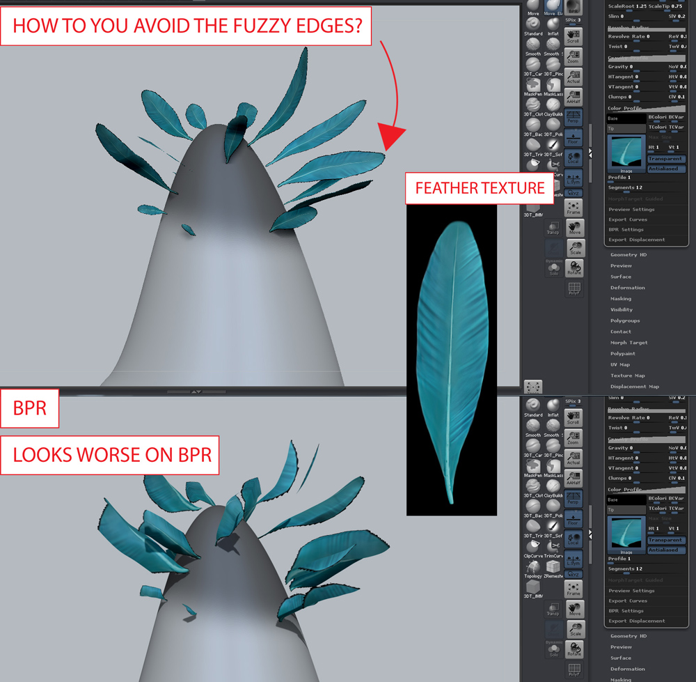 feather texture.jpg