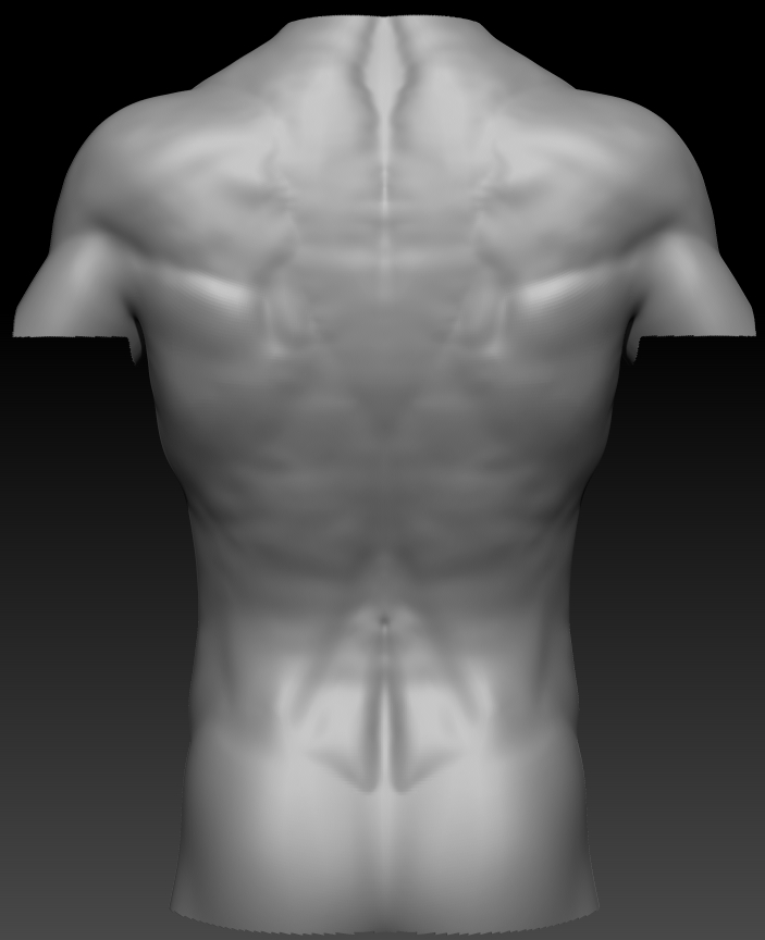 back.jpg
