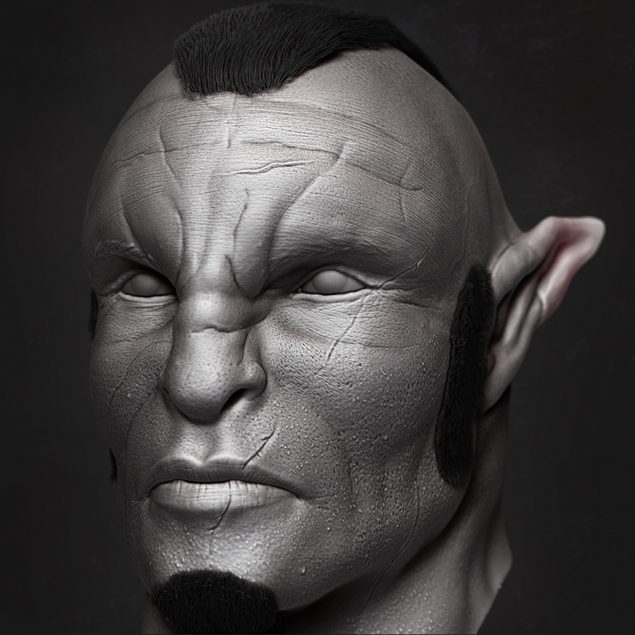 Head_F_detailed copy.jpg