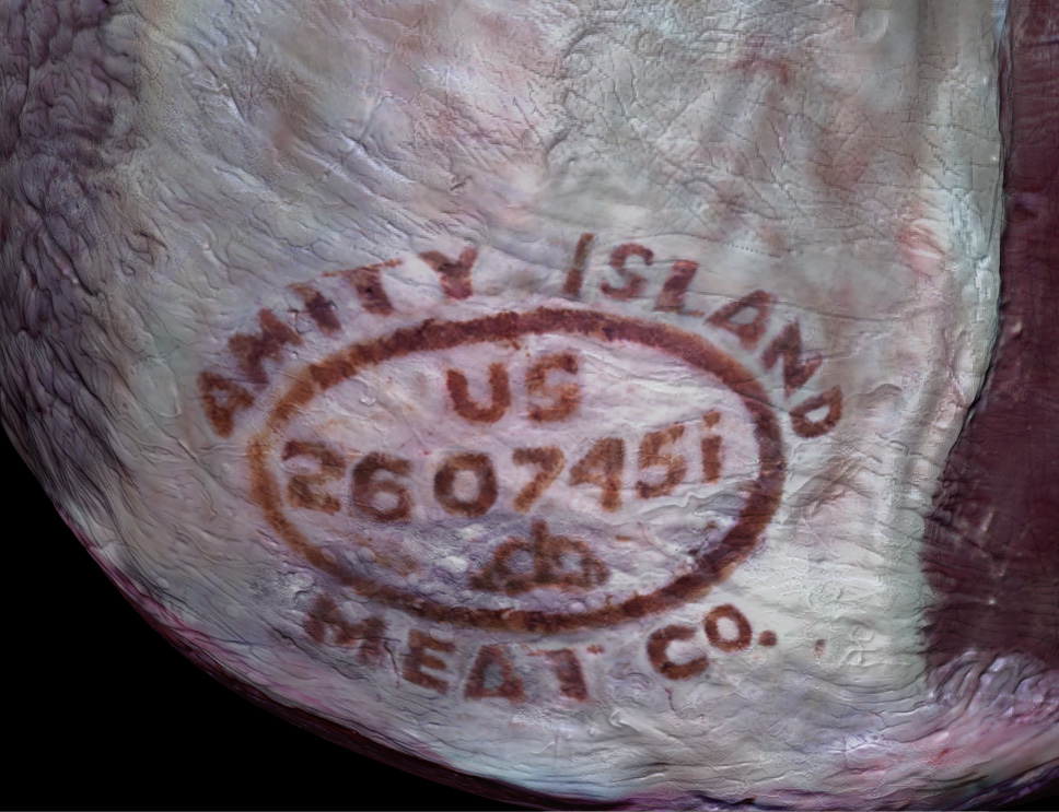 Meat4.jpg