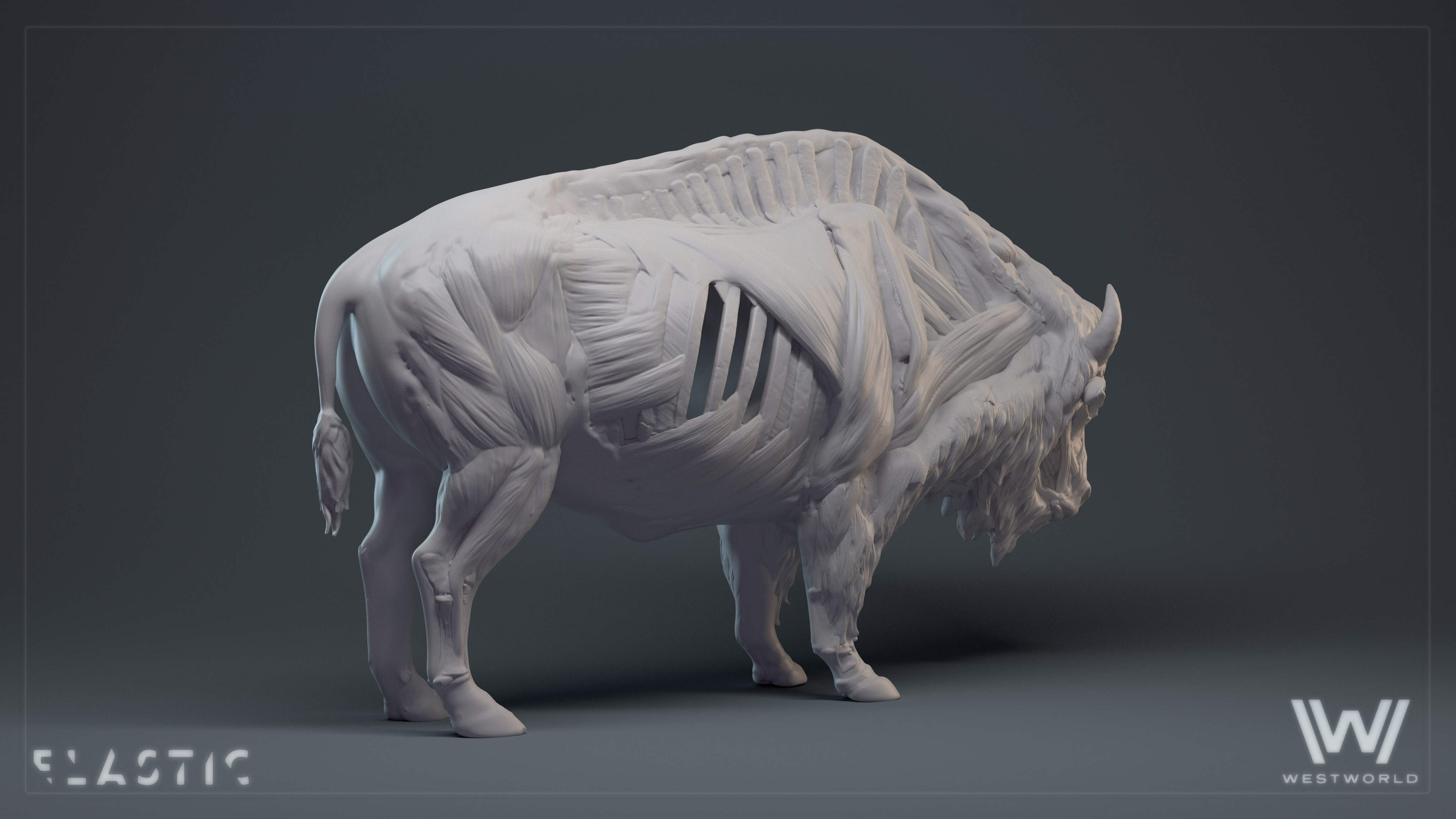 WW2_elastic_bison_06.jpg
