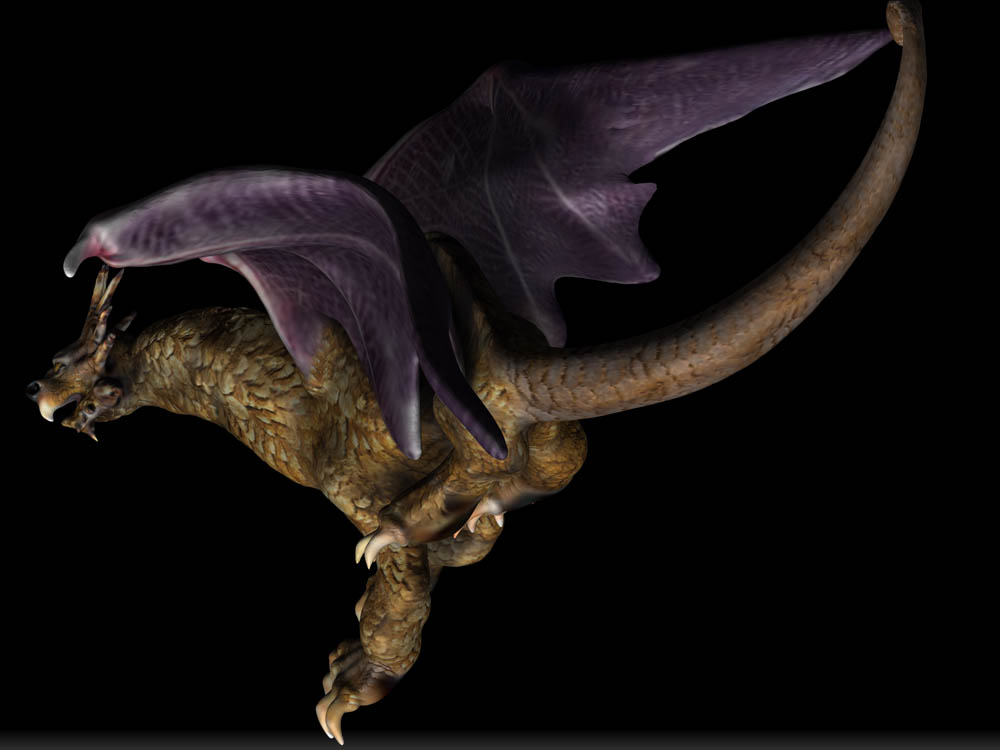 DRAGON SPOTLIGHT 12.jpg