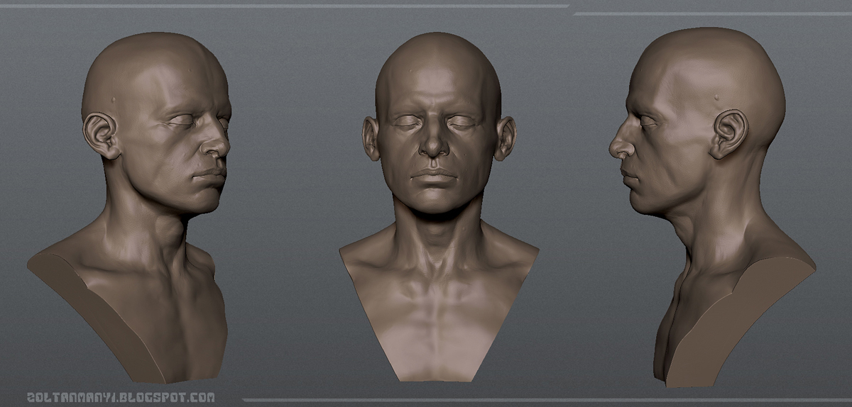 CharacterStrip_onlyhead_FINAL_Small.jpg