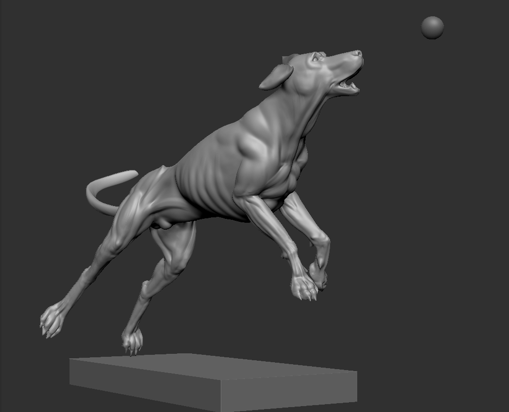 dogleap.jpg