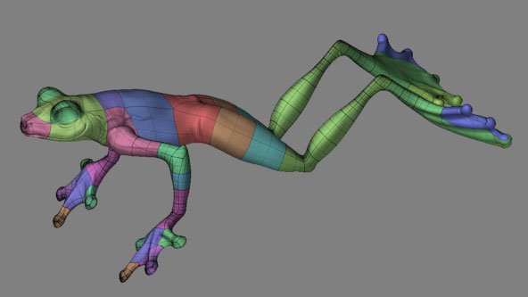 Frog3.jpg