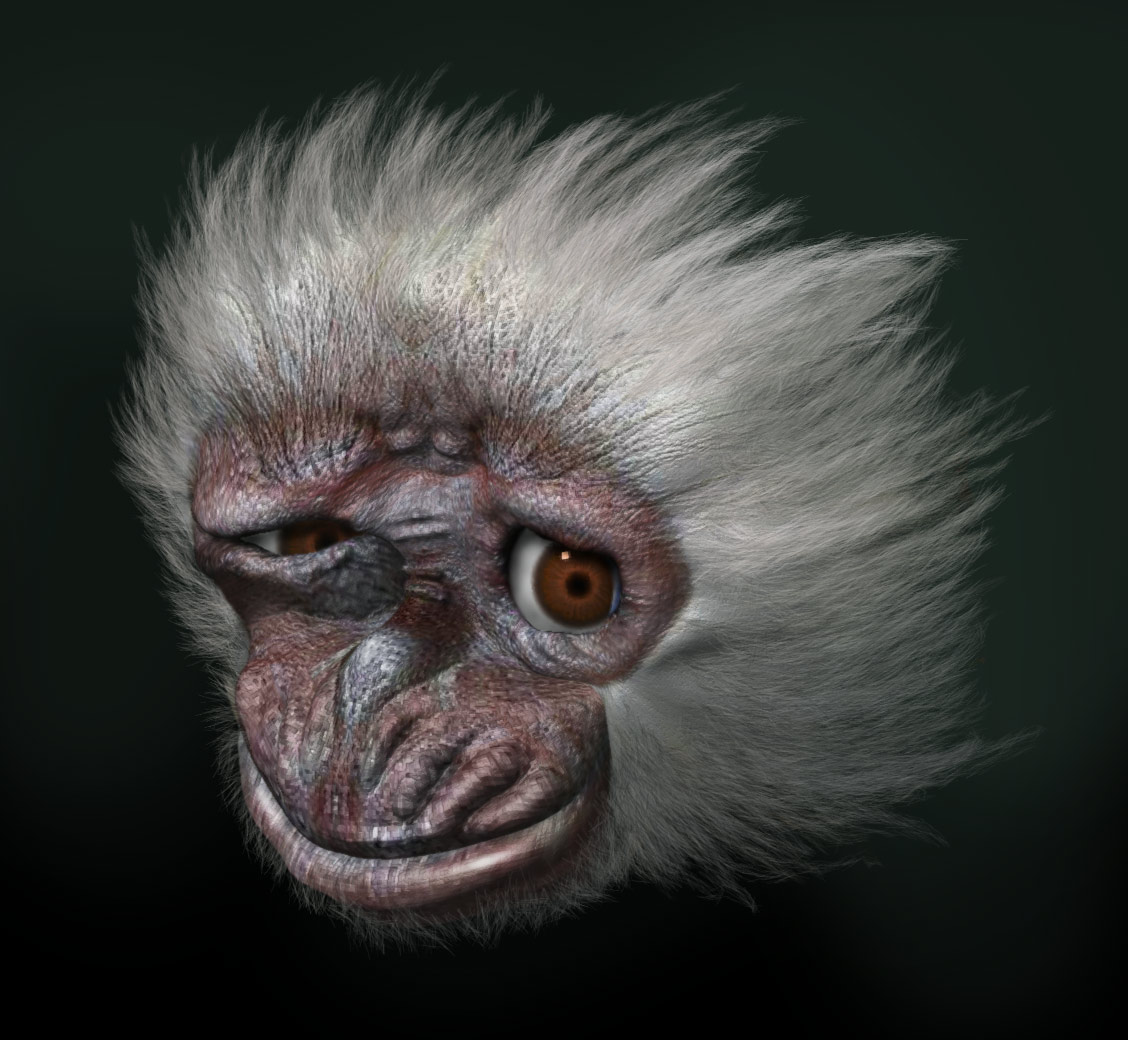 Aapie.jpg