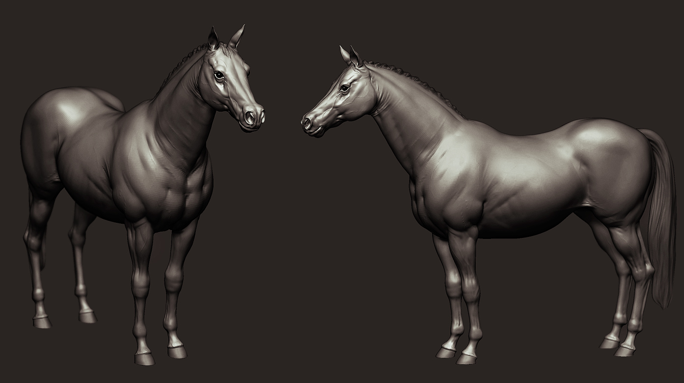 horse.jpg