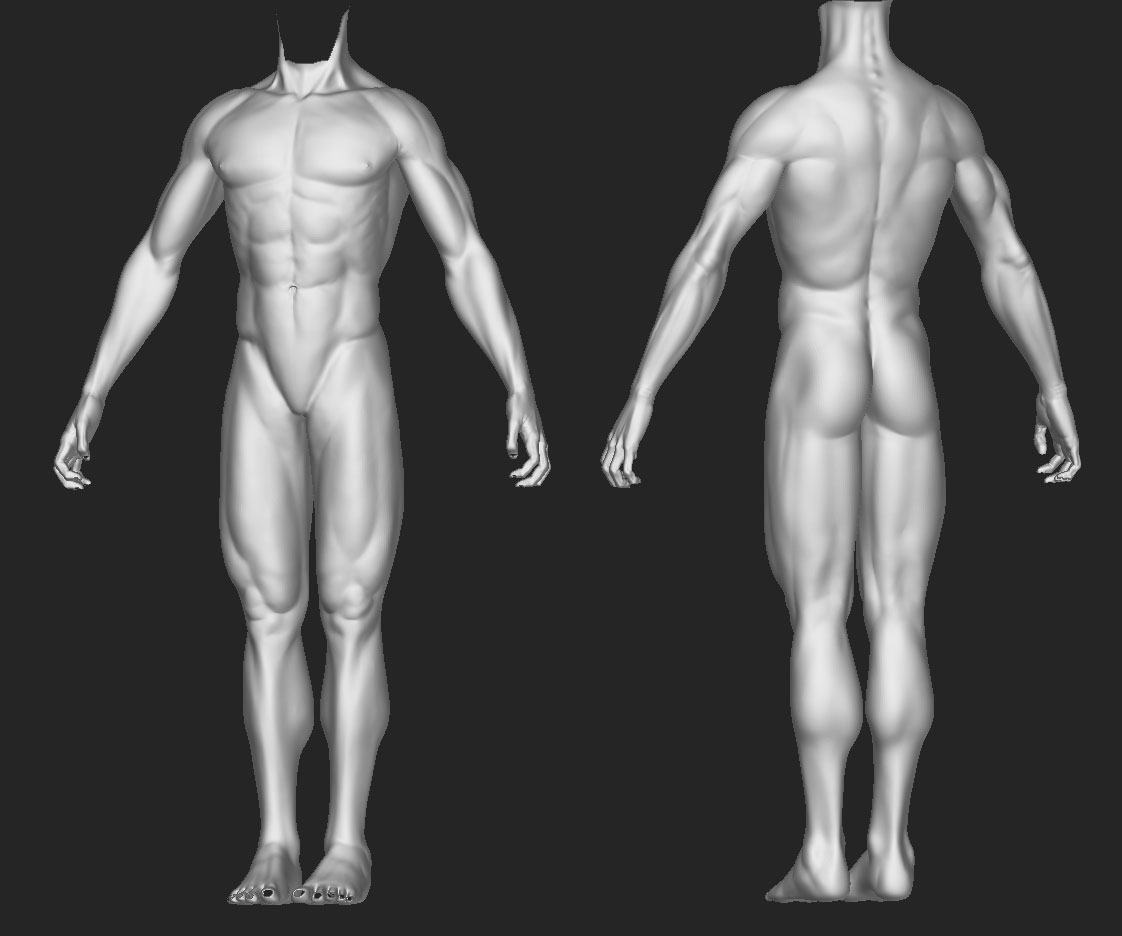 zbody.jpg