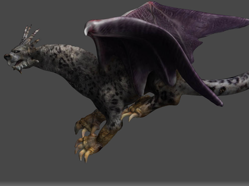 DRAGON SPOTLIGHT 20.jpg