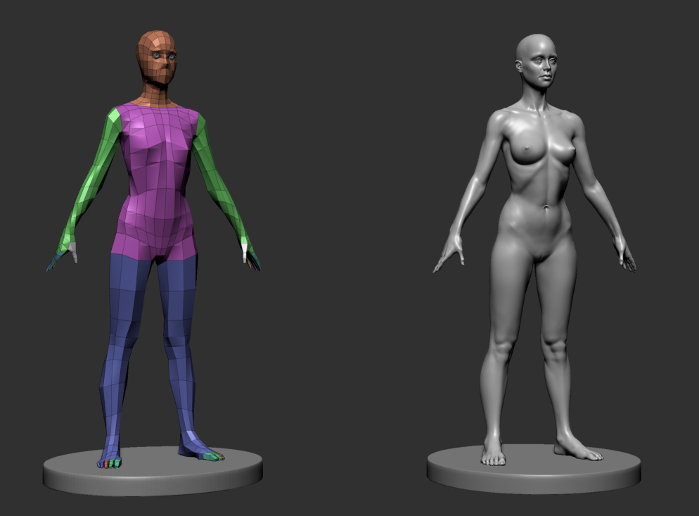 fem_anatomy_v2_12.jpg