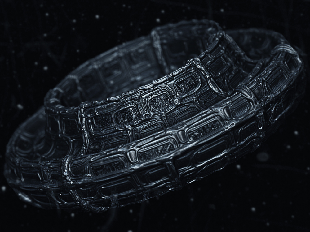 ring.jpg